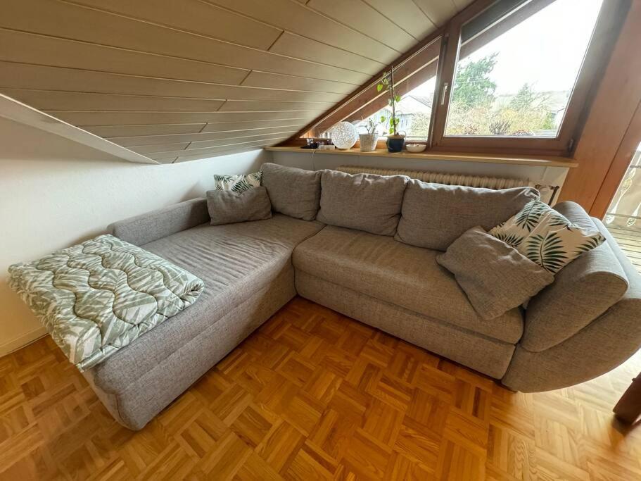 Gemuetliche Wohnung Bei Bad Waldsee Mit Balkon Zewnętrze zdjęcie